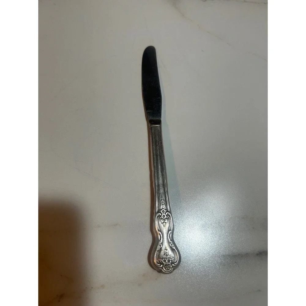 1847 Rogers Bros Springtime Silverplate Dinner Knife Stainless Blade IS 9.25in